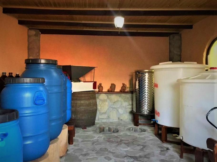 GuestHouse LILIA &Wine Celler Telavi Extérieur photo